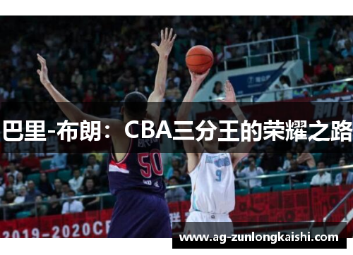 巴里-布朗：CBA三分王的荣耀之路
