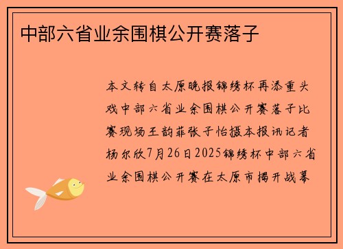 中部六省业余围棋公开赛落子