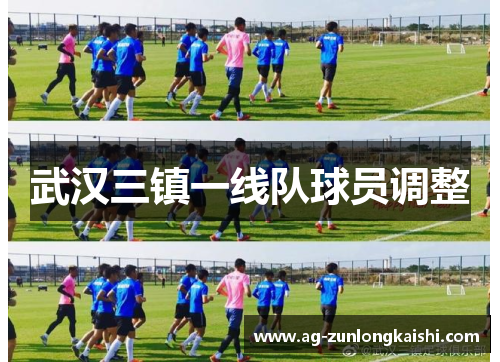武汉三镇一线队球员调整
